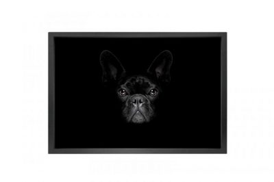 Canvas picture 5cm black frame dog 90cm x 150cm