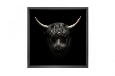 Canvas prints with black frame